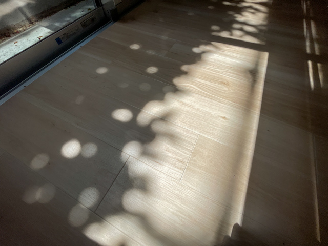 天井高をフル活用 4の内観