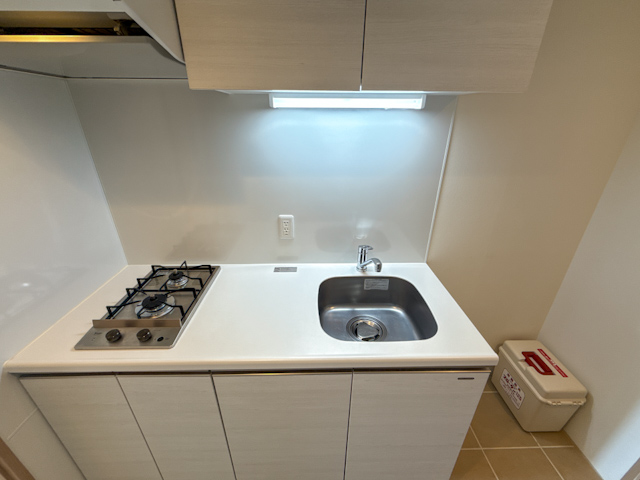 愛犬愛猫と暮らすデザイナーズ 604の内観