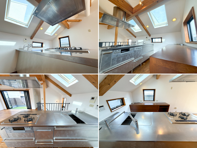 戸建で大型犬と 1の内観