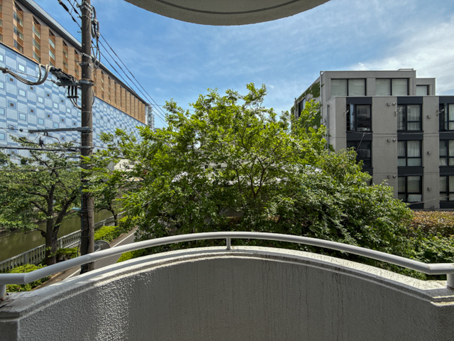 新緑を借景に 206の内観