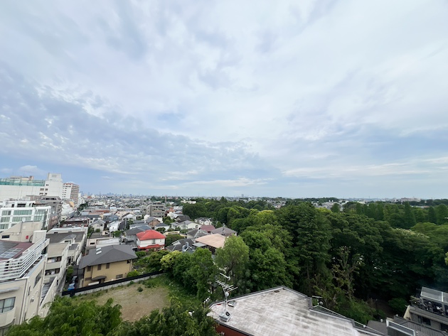 井の頭公園を一望 902の内観