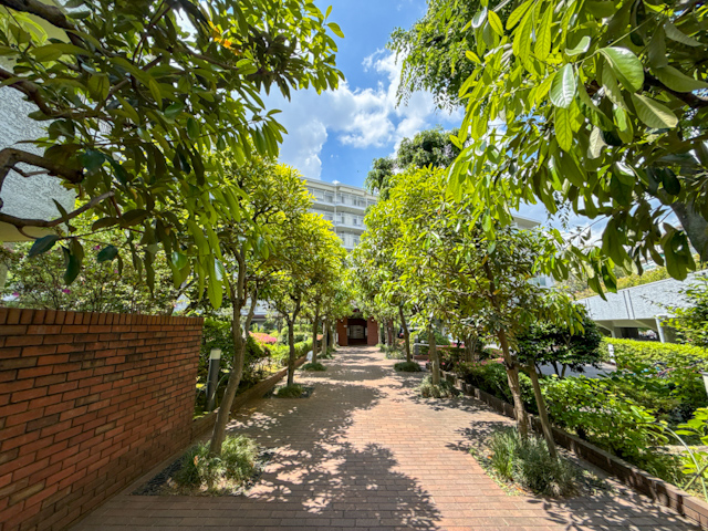 まるで公園 506の内観