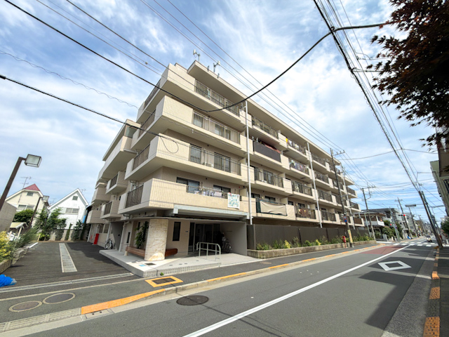 伸びをして、ナチュラル 304の内観