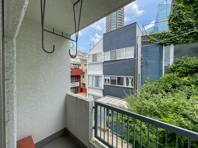 軽やかに自然と六本木 203の内観