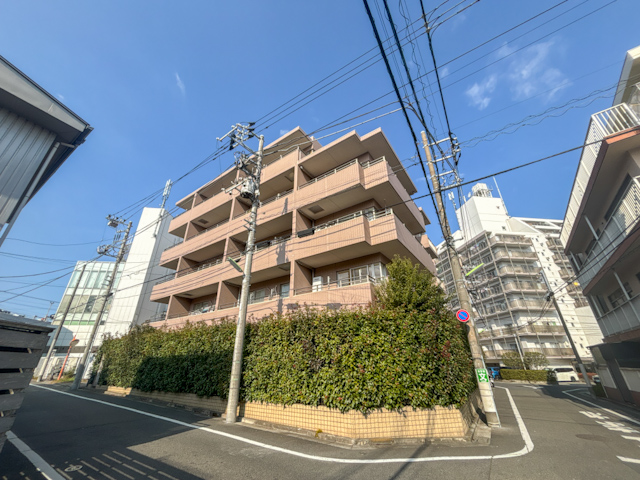 ペットとぽかぽか 402の内観