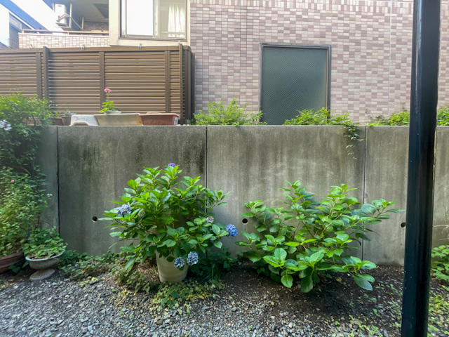 庭とレトロ 102の内観