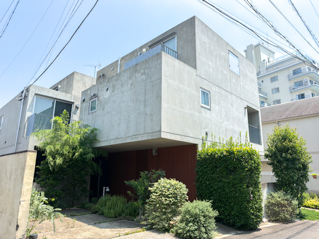 木陰で過ごす日 101の内観