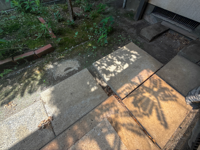 蝶々がひらひらと 1の外観