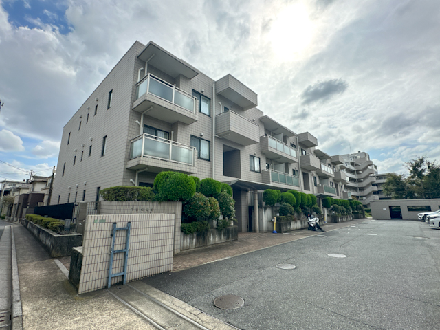 緑と光に包まれて 204の内観