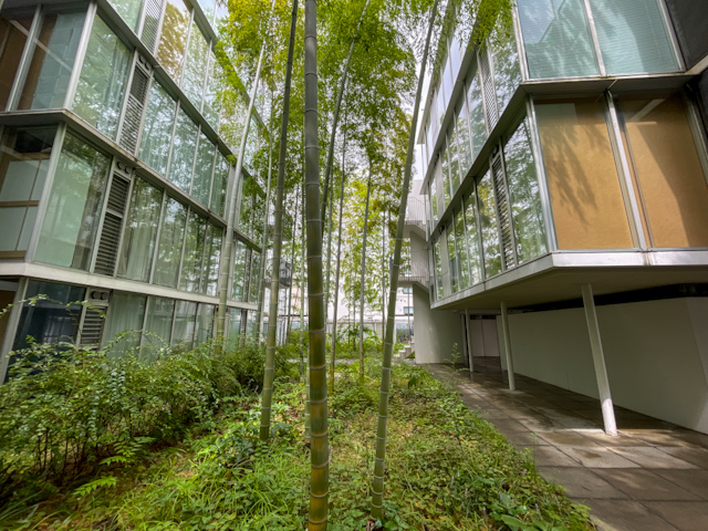 何度みても虜 412の内観