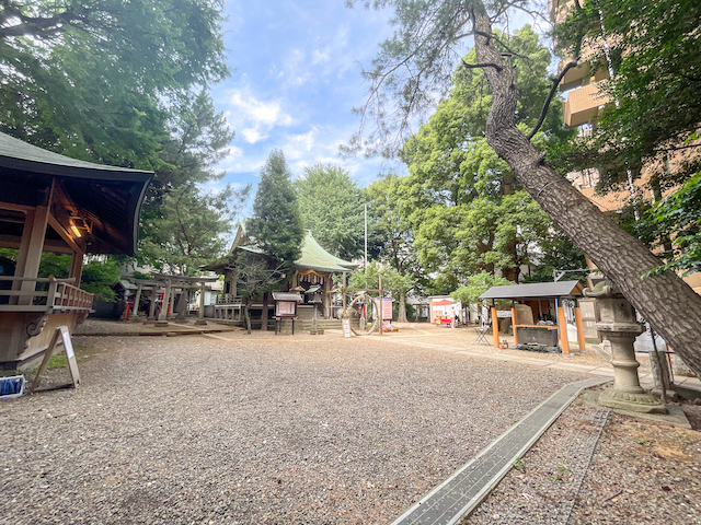 天高＆無垢床に癒されて 302の内観