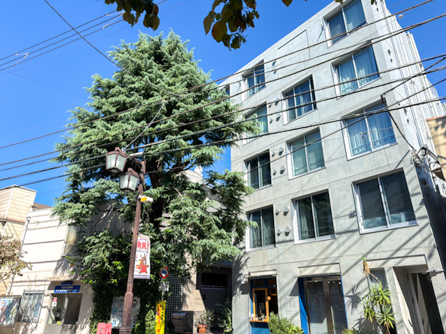 暮らしと仕事の、ちょうどいい距離 101の内観