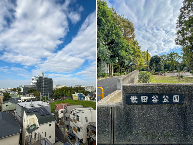 光と木の特等席 601の内観