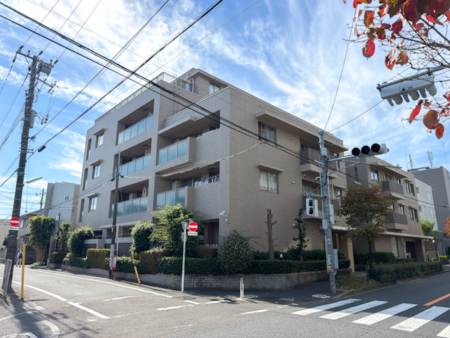 光を透かす、やさしい居場所 203の内観
