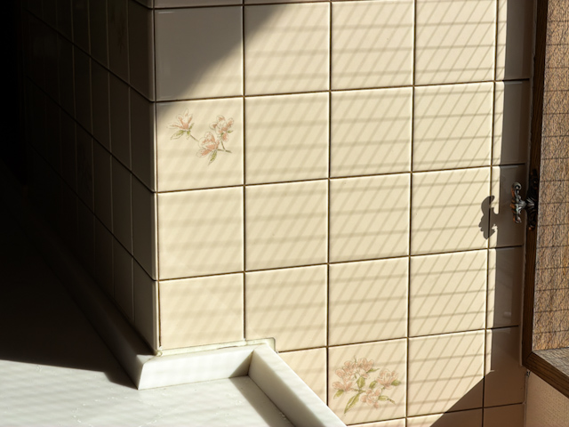 言葉にできないほどの 501の内観