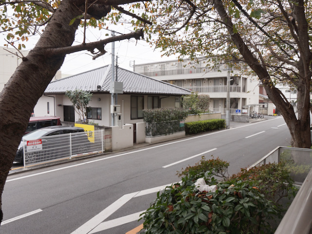 ペットとお花見 204の内観