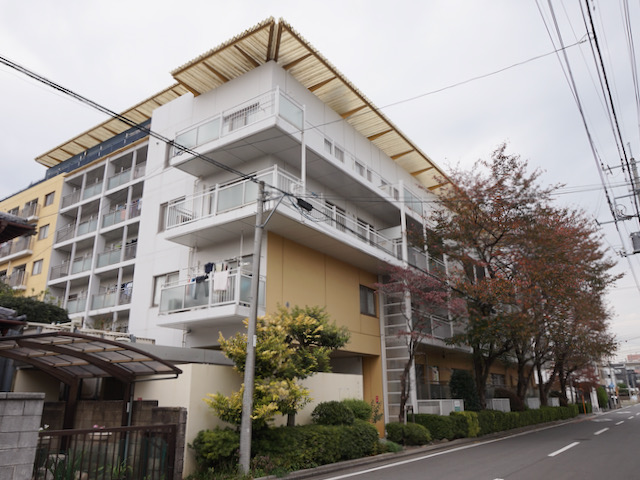 ペットとお花見 204の内観