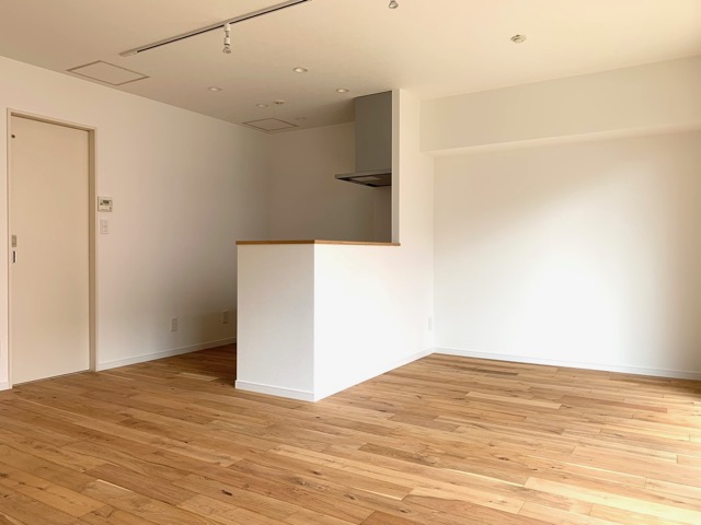 リノベのテラスハウス 102の内観