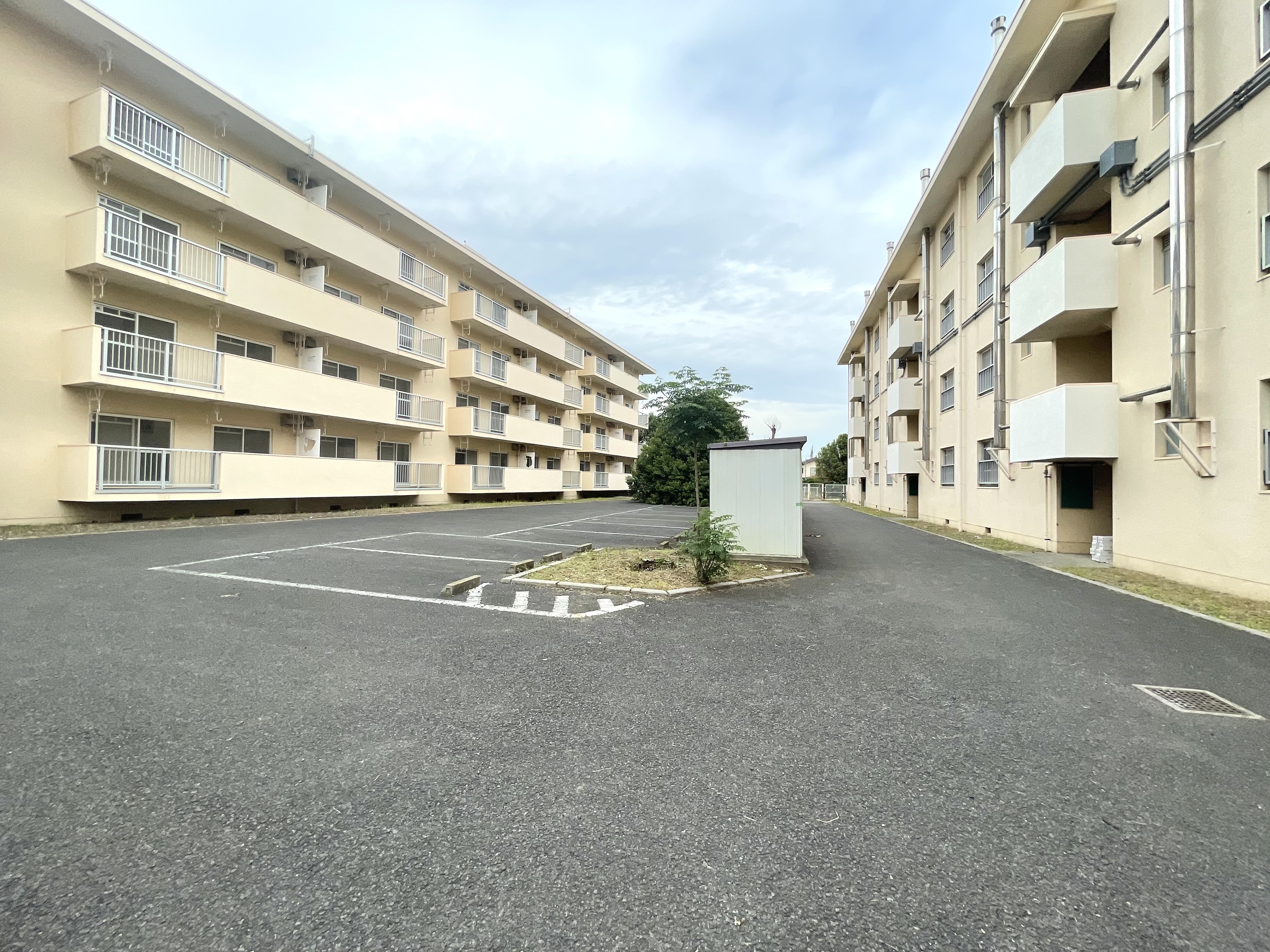 Reborn room 305の内観