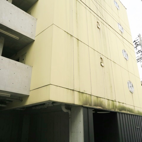 内観