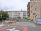 リーブルガーデン常滑市西之口2丁目 周辺環境2