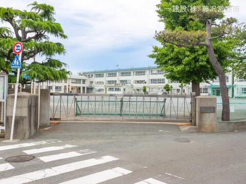 茅ヶ崎市立松林小学校：450m