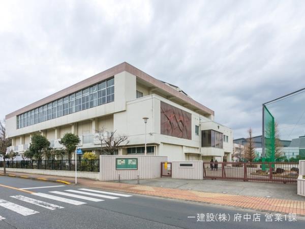 リーブルガーデン府中市若松町第１１ 周辺環境2