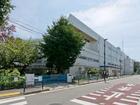 リーブルガーデン氷川台２丁目第６ 周辺環境2