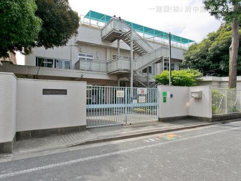 杉並区立久我山小学校：650m