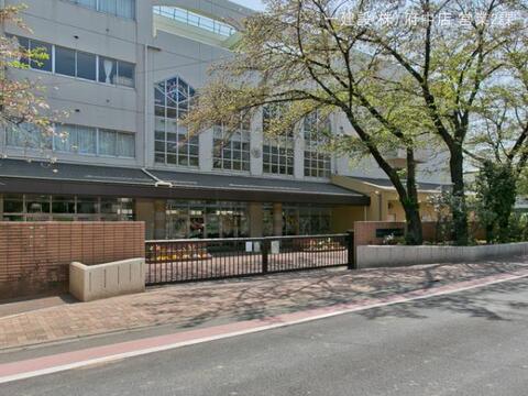 杉並区立宮前中学校：550m