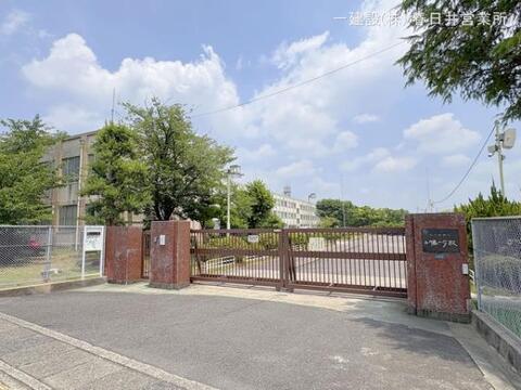 名古屋市立小幡小学校:10m