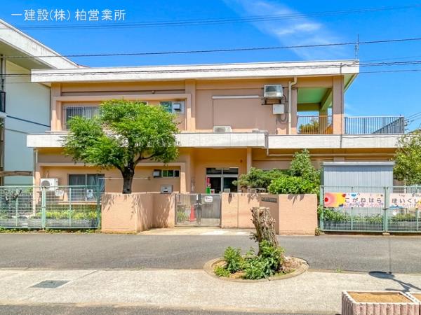 リーブルガーデン小金原4丁目3期 周辺環境4