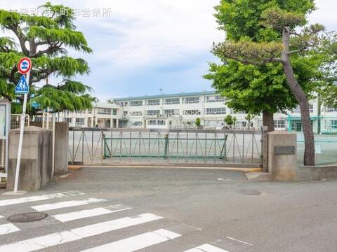 茅ヶ崎市立松林小学校：300m