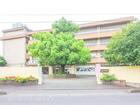 リーブルガーデン上尾市二ツ宮 周辺環境2