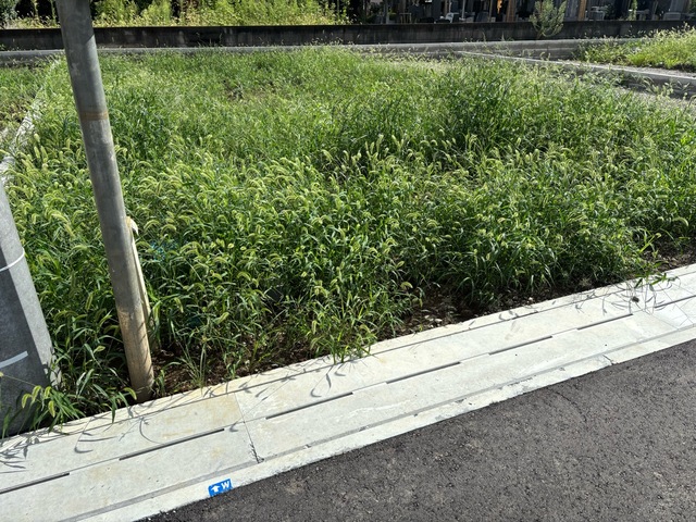 リーブルガーデン草加市草加 写真11