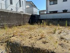 リーブルガーデン南光台4丁目第3 写真6