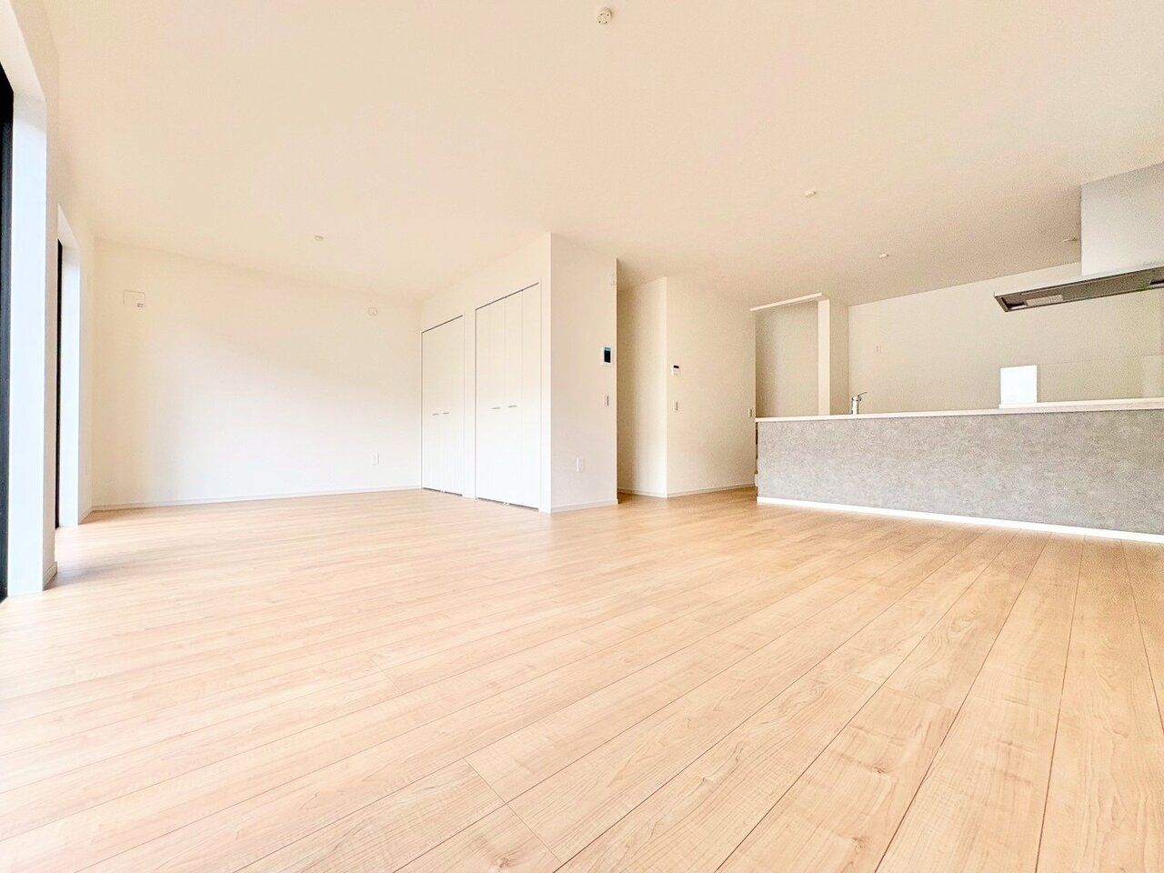 LDK横には開放的なコンセプトルームを併設しています。