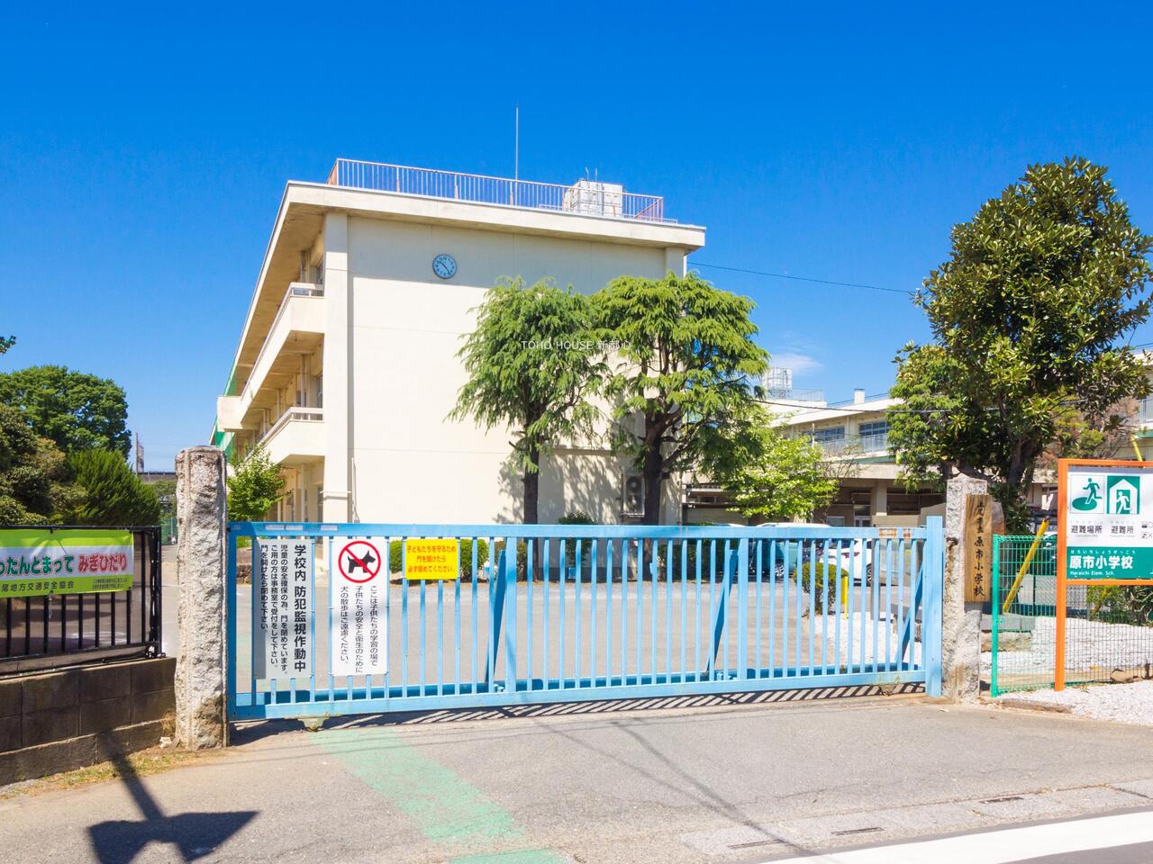 原市小学校まで約1200m