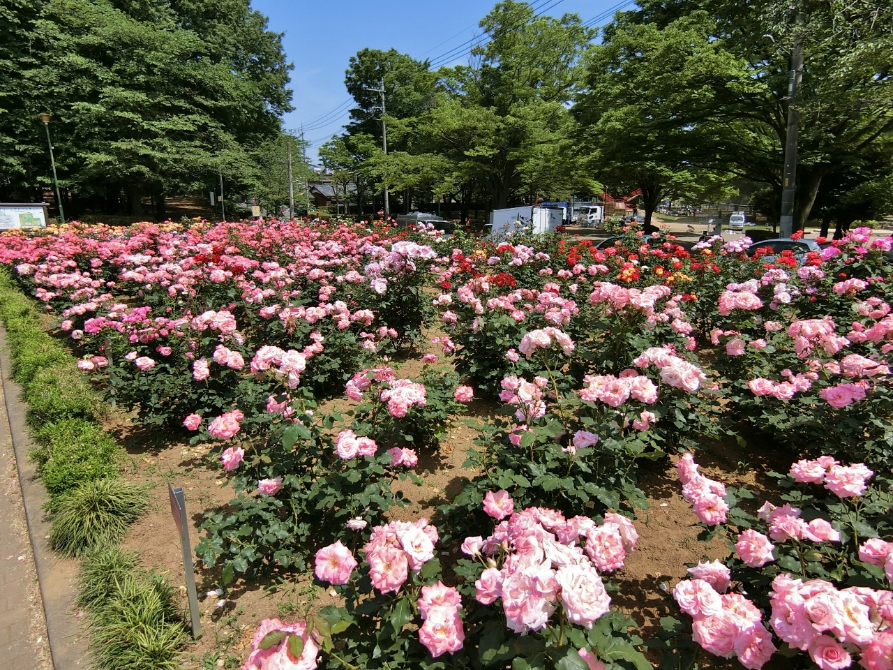 与野公園まで約400m