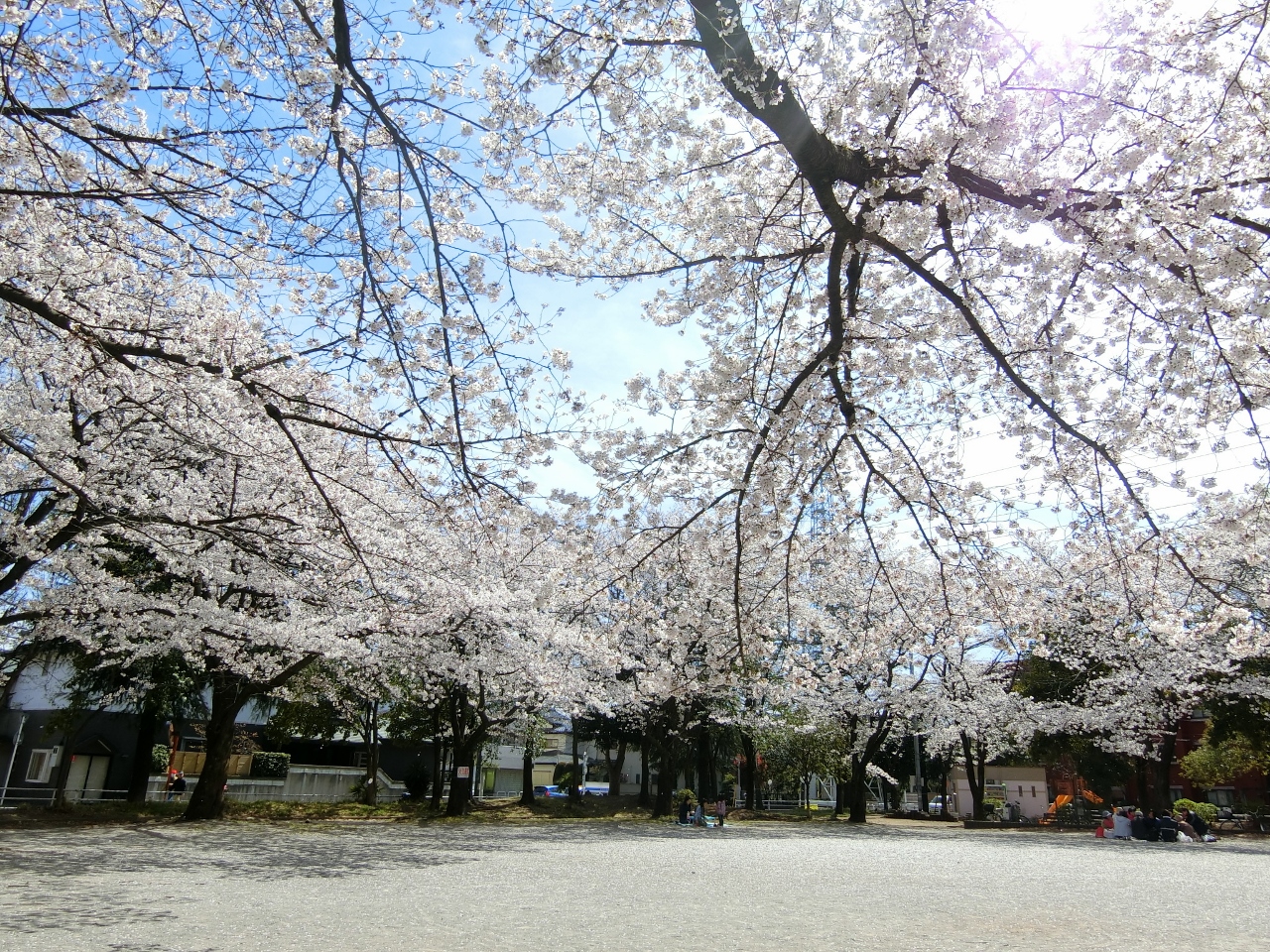 松原公園まで約130m
