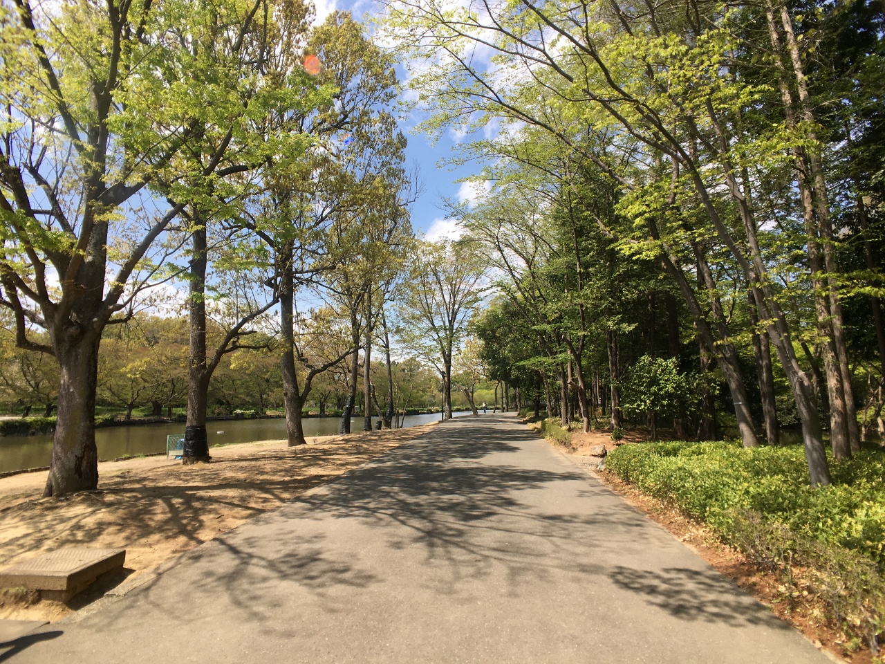 上尾丸山公園まで約1200m