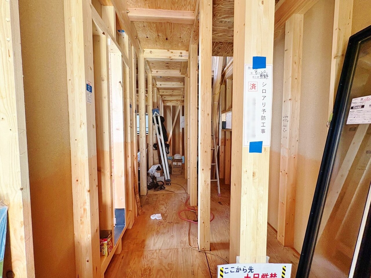 この場所から、さまざまな思い出が生まれます。(令和8年8月撮影)