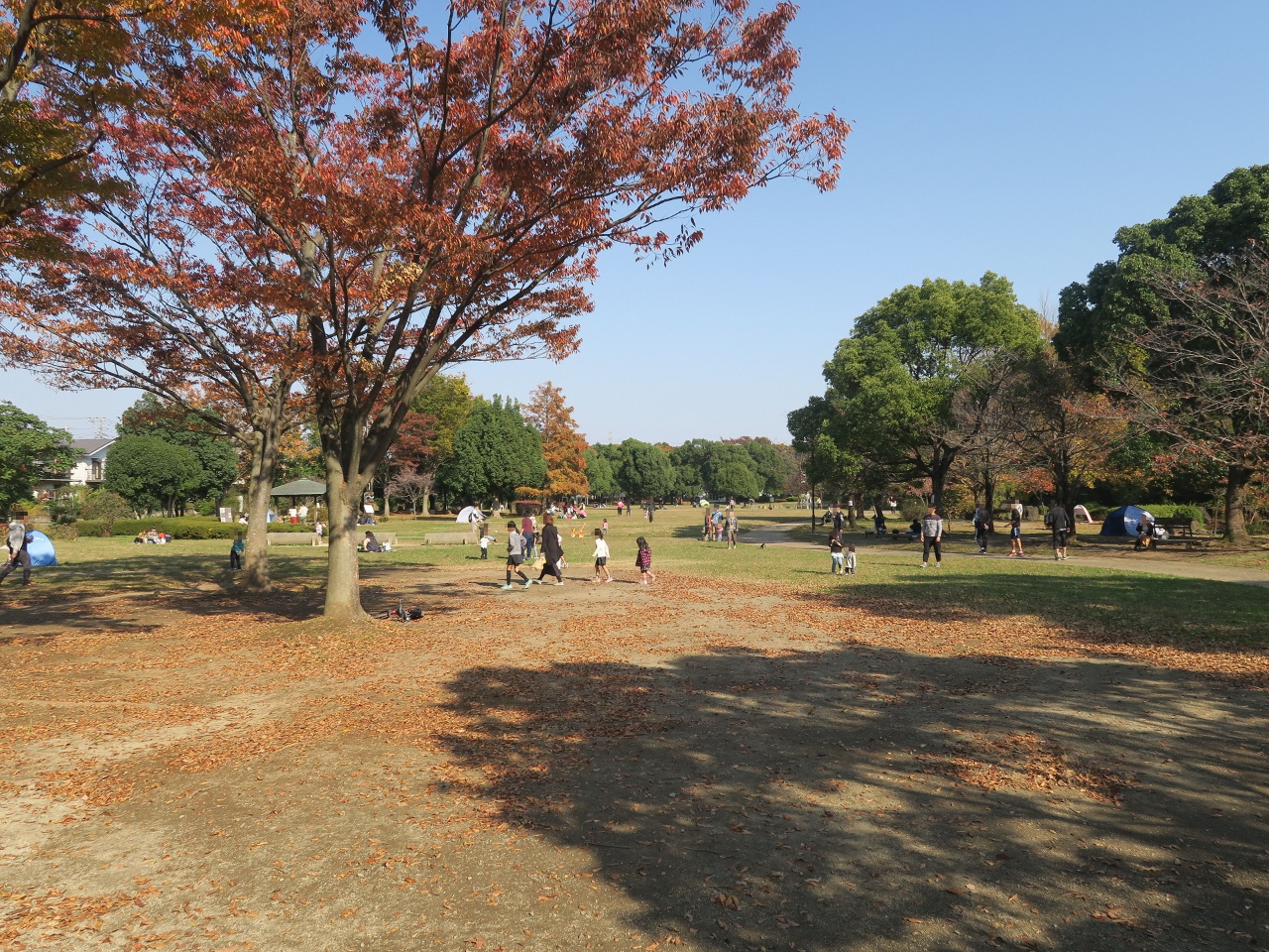 岩槻城址公園まで約800m