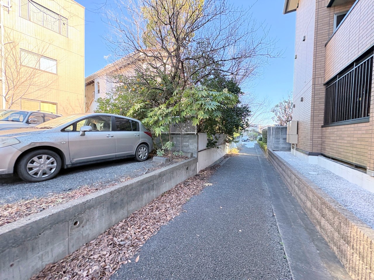 全てを凝縮した珠玉の「住まい」を堪能して下さい。(令和8年1月 撮影)