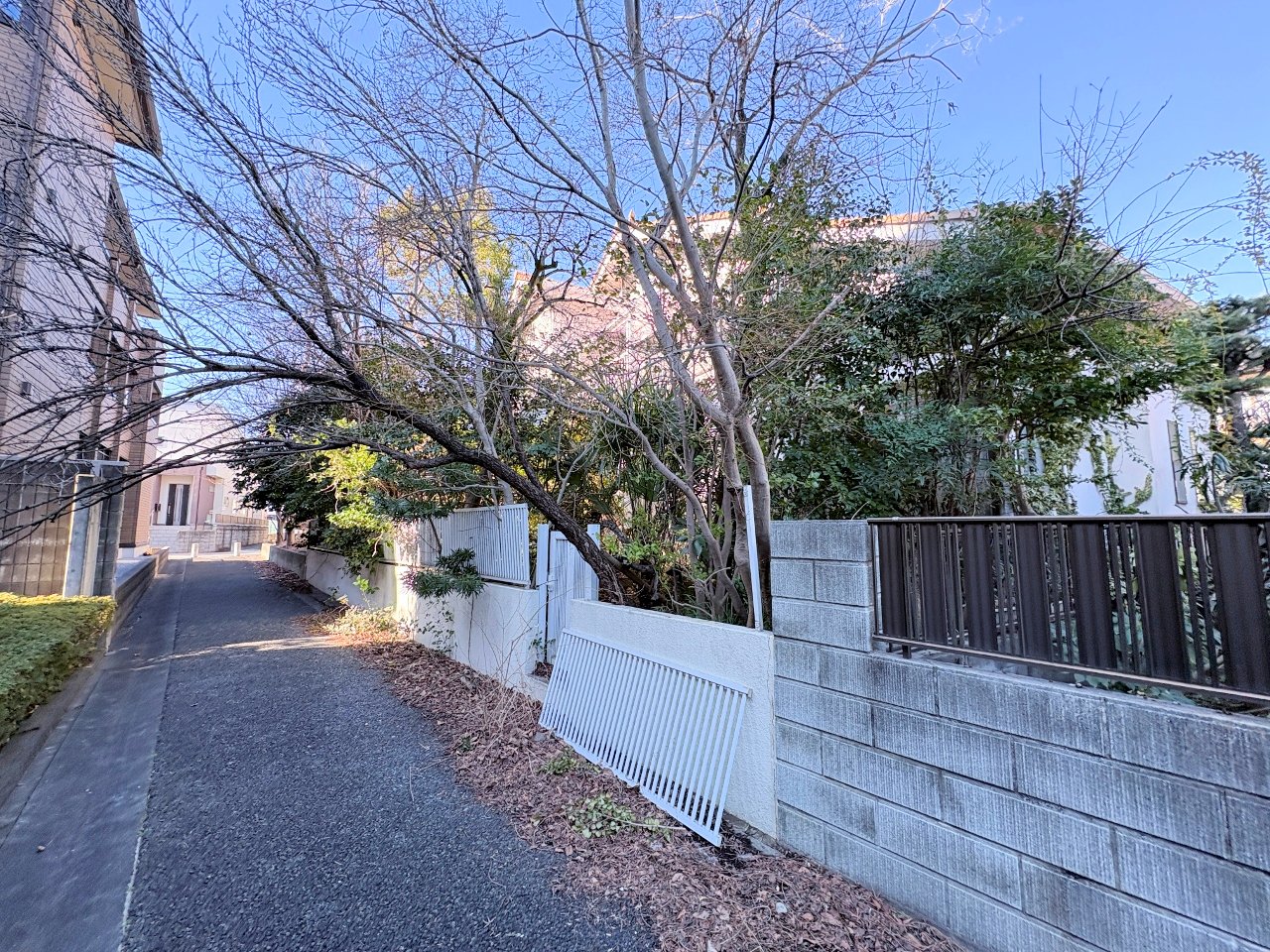 通風・採光にも優れ、心地よい光と風があふれています。(令和8年1月 撮影)