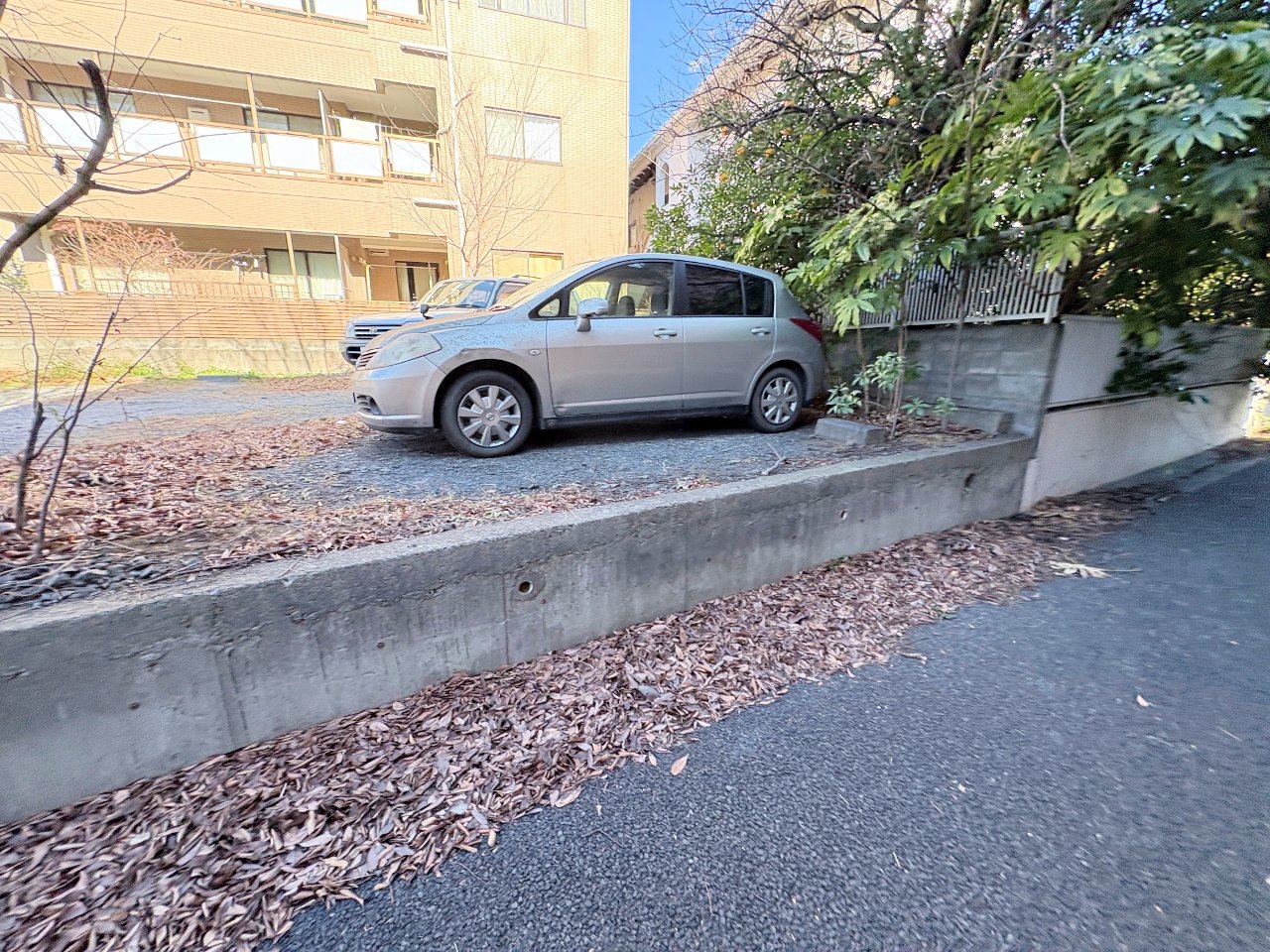 空気感というＢＧＭは、暮らしのステージを彩ります。(令和8年1月 撮影)