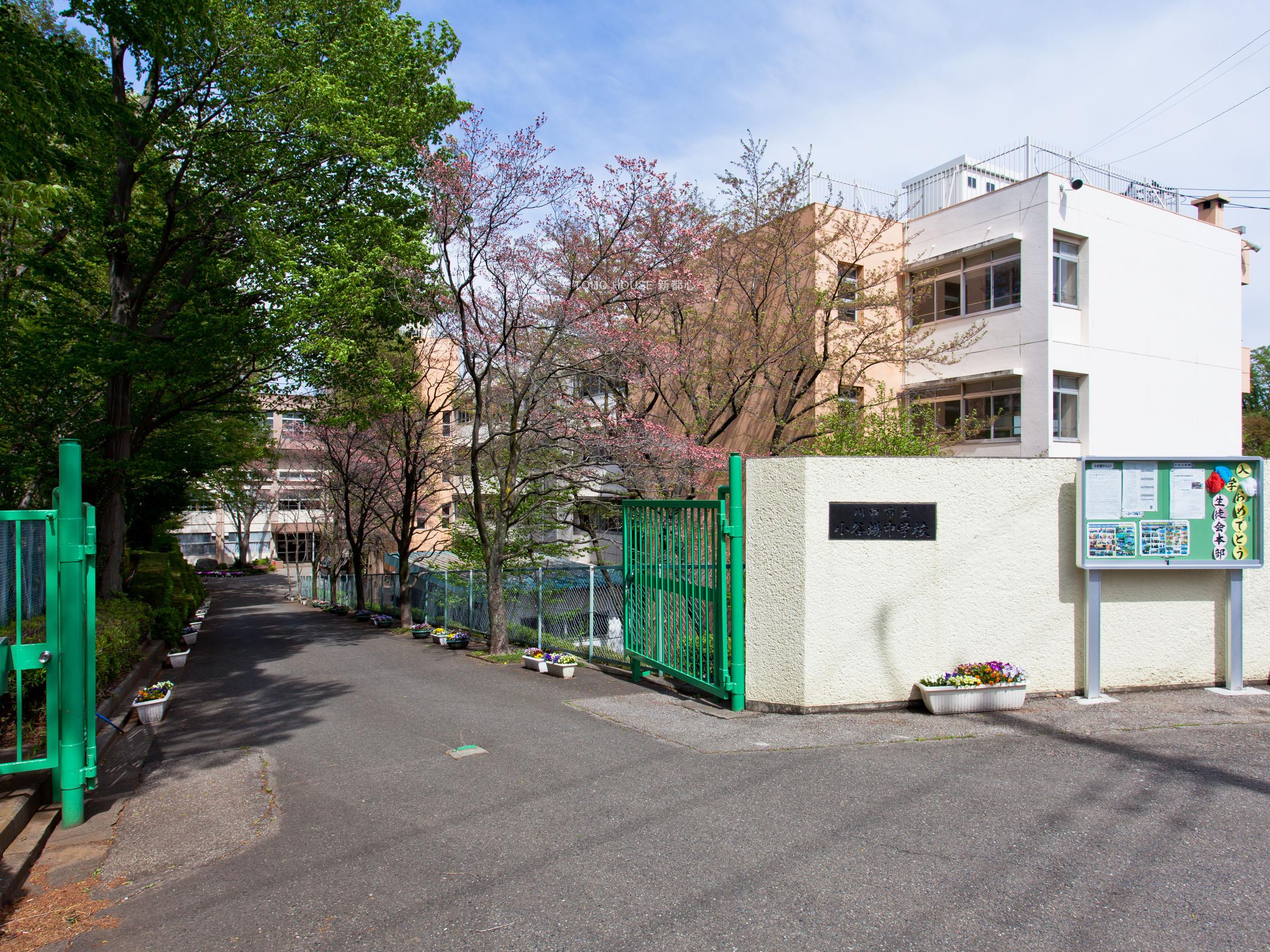 小谷場中学校まで約60m