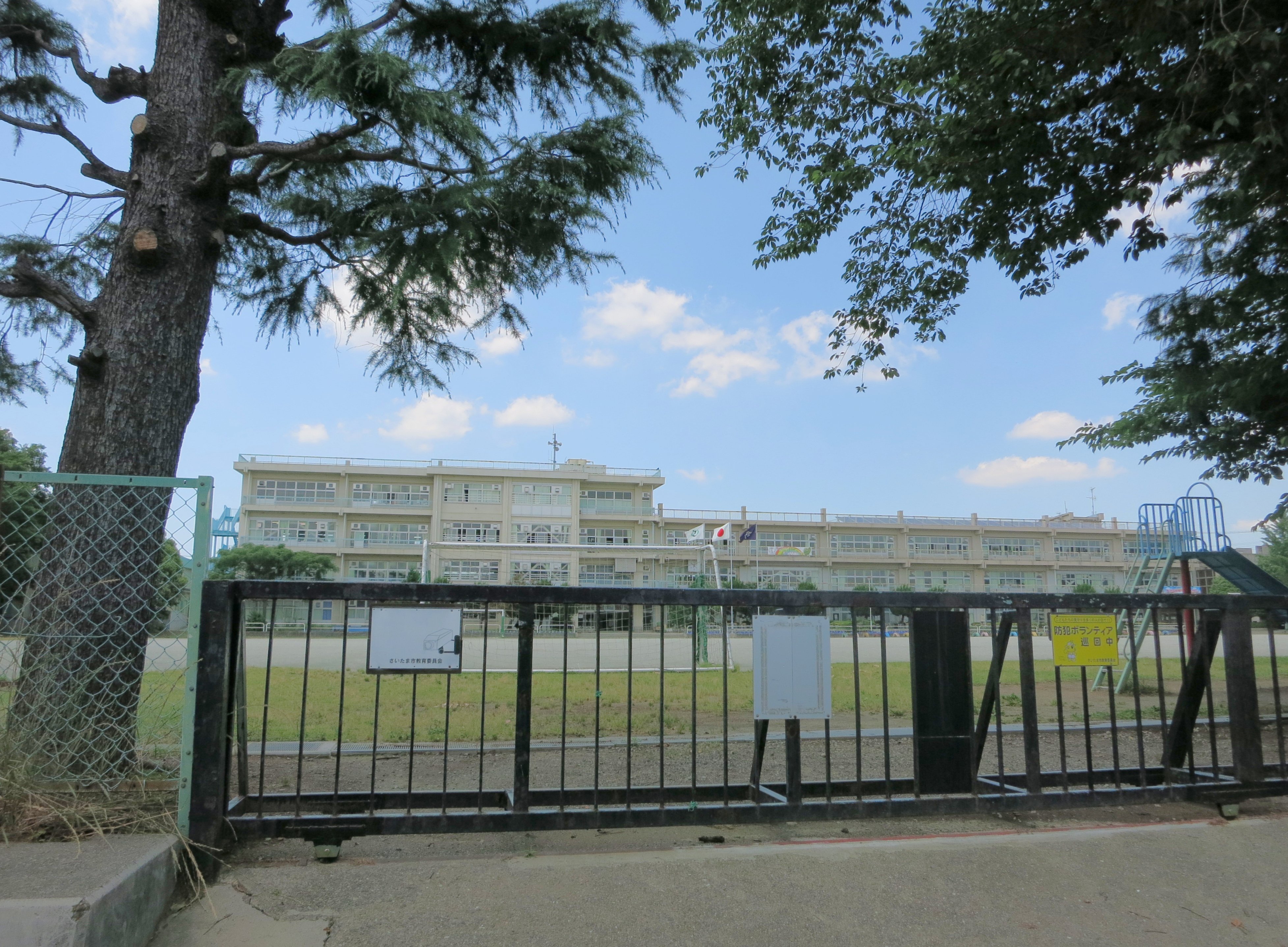 見沼小学校まで約600m