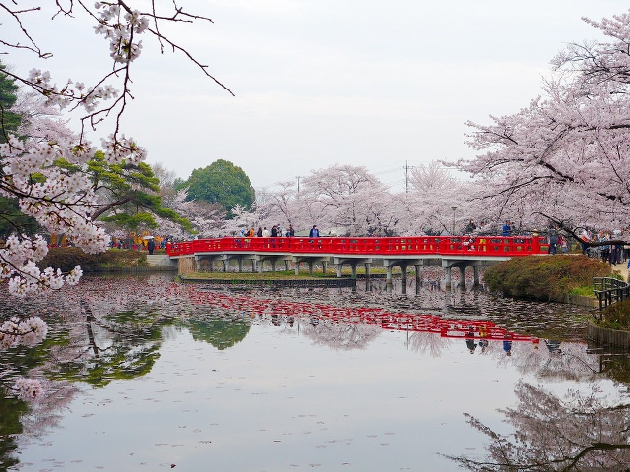 岩槻城址公園まで約500m
