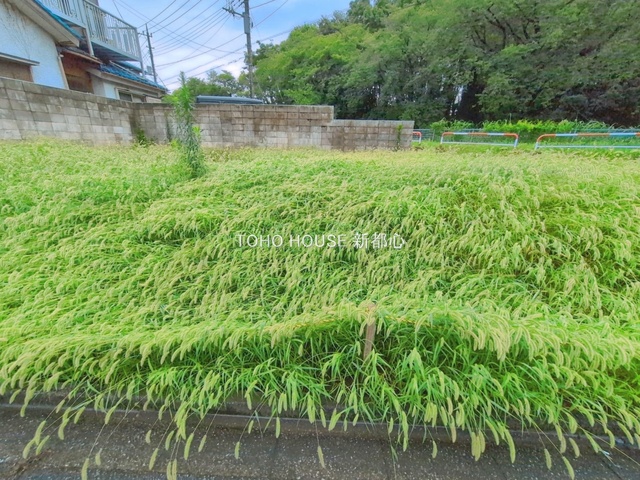 現地土地